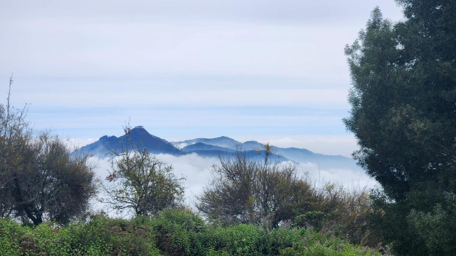 Fabhotel Tranquil Heights Kodaikanal Eksteriør billede